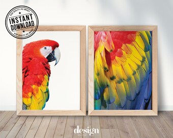 GUACAMAYA, ara, SET x2, paire d’affiches numériques imprimées, téléchargement instantané