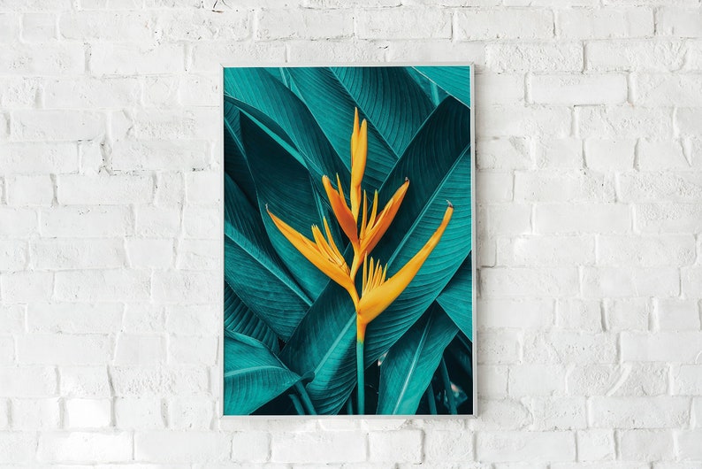 Puede incluir: Una flor amarilla vibrante con una forma &uacute;nica destaca sobre un fondo de hojas verde turquesa oscuro. La flor tiene una textura delicada, casi plumosa, y las hojas est&aacute;n dispuestas en un patr&oacute;n en capas.