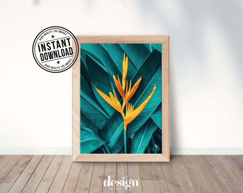 Puede incluir: Una impresi&oacute;n enmarcada de una flor de ave del para&iacute;so amarilla con hojas verdes. La impresi&oacute;n est&aacute; en un marco de madera claro.