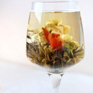 Blooming Tea, Flowering Teas, Green Tea, Jasmine Tea, Tea Gift Set, Berry Tea,blooming teas, gift teas, tea set, Tea box, tea balls, teas image 5