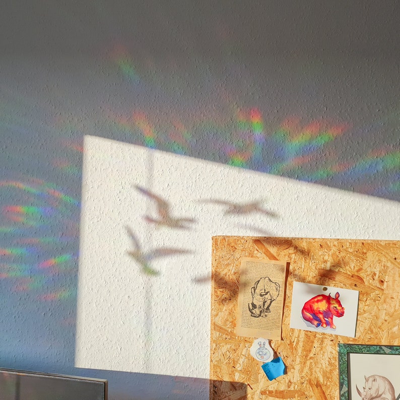 May include: A white wall with a textured surface is illuminated by sunlight, casting shadows of birds in flight. Rainbow light refractions are visible. A corkboard displays illustrations of animals and a small blue tag.