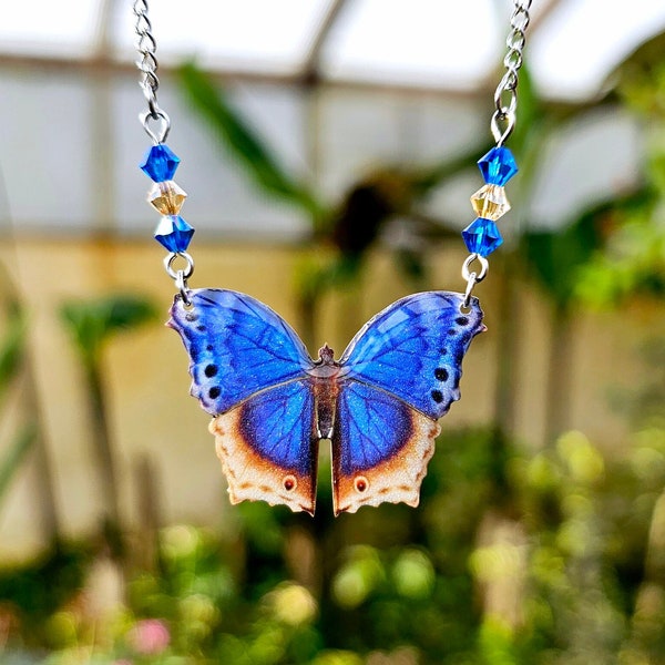 Collier Mini Papillon Nacre Bleue, Protogoniomorpha temora