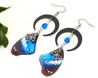 Hypolimnas Salmacis Blue Diadem Real African Butterfly Entomology Shadowbox Hypolimnas Salmacis Blue Diadem Real African Butterfly Entomology Shadowbox