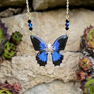 Papilio ulysses Butterfly Necklace
