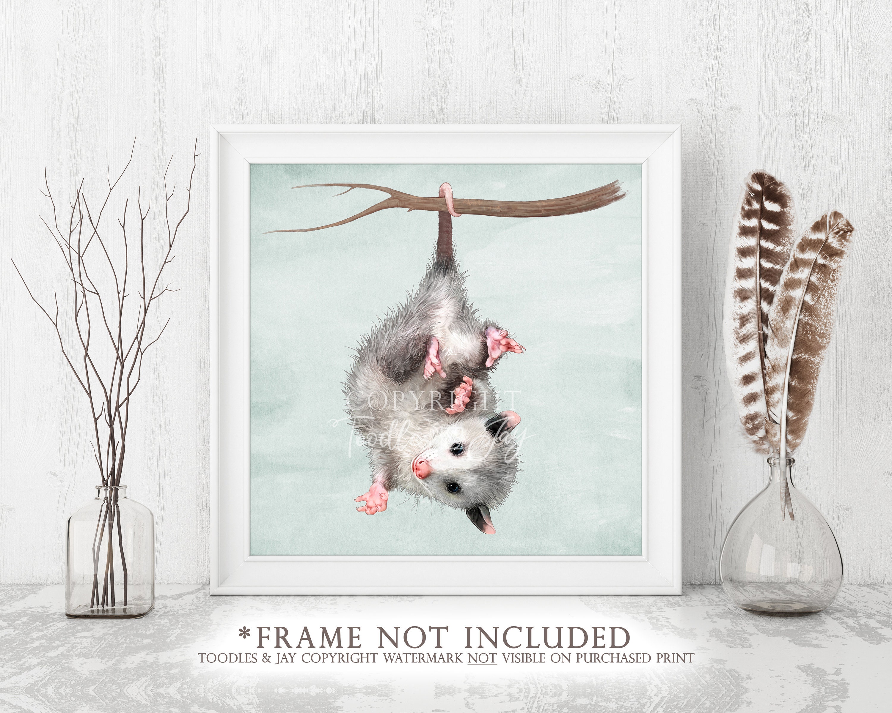 Cute Possum Art Print Possum Hanging From Branch Painting Cute Possum  Picture Opossum Poster Baby Possum Wall Art - Etsy Australia