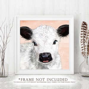Miniature White Galloway Calf Art Print • White Calf Painting • Baby Cow Picture • Mini Cow Poster • Cute Cow Wall Art