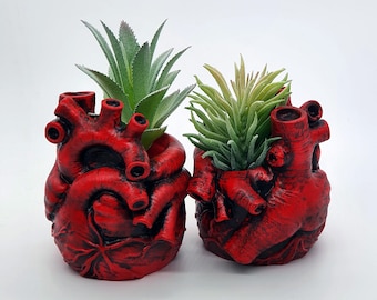 Anatomical Human Heart Replica Realistic Gothic Goth Macabre Home Decor Ornament Gift Brush Pencil Candle Holder Succulent Plant Pot Planter