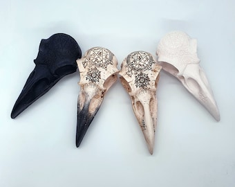 Könnte beinhalten: Drei dekorative Rabenschädel-Figuren, zwei sind weiß mit schwarzen Markierungen und eine ist schwarz mit weißen Markierungen. Jeder Schädel hat ein Pentagramm und andere Symbole, die in die Oberfläche eingeätzt sind.