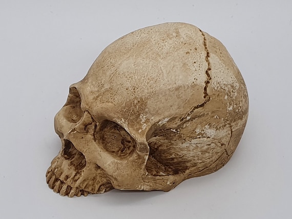 Realistic Replica Human Skull Handmade Home Decoration Decor Goth Halloween Gift- Various Colours Colors - Black Silver Bronze Red