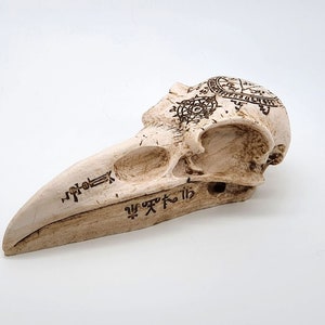 Wall 3D Decor Decoration Crow Raven Bird Skull Replica Realistic Ornament Plaque Alchemy Gothic Macabre Oddities Curiosities Occult Gift