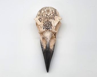 Wall 3D Decor Decoration Crow Raven Bird Skull Replica Realistic Ornament Plaque Alchemy Gothic Macabre Oddities Curiosities Occult Gift