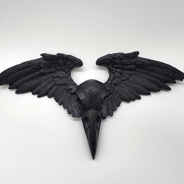 Wall 3D Decor Decoration Crow Raven Skull Replica Wings Ornament Plaque Victorian Alchemy Gothic Macabre Oddities Curiosities Halloween Gift