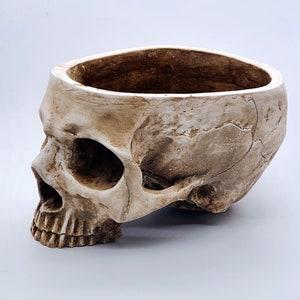 Large & Heavy Realistic Human Size Skull Replica Bowl Flower Pot Planter Pencil Holder Gothic Garden Candy Box Anatomy Altar Halloween Gift