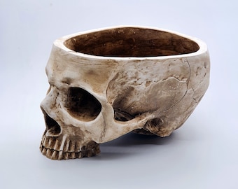 Gold Nobranded Resin Skeleton Skull Head Flower Pot Figurine Skull Candy Bowl Multifunctional Tabletop Storage Tank Skeleton Model Home Table Decor Ornament Gold Nobranded Resin Skeleton Skull Head Flower Pot Figurine Skull Candy Bowl Multifunctional Tabletop Storage Tank Skeleton Model Home Table Decor Ornament