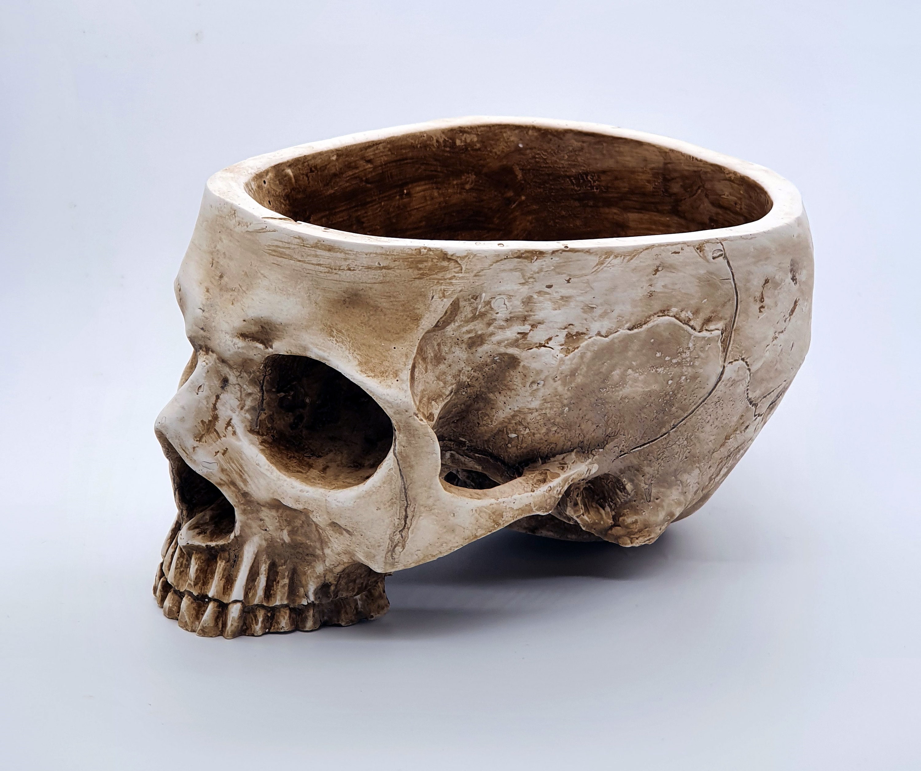 Large & Heavy Realistic Human Size Skull Replica Bowl Flower Pot