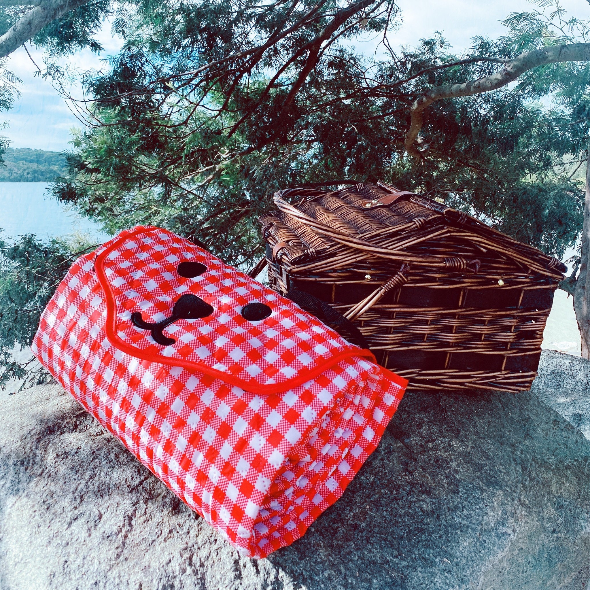 Extra Large Teddy Bear Picnic Blanket Waterproof with Etsy