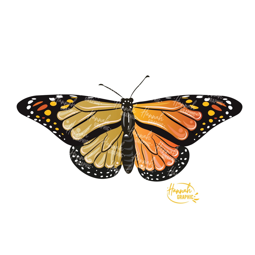Monarch Butterfly PNG SVG Digital Download Instant - Etsy