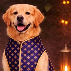 May include: A golden retriever wearing a sleeveless vest made of dark blue fabric with a repeating gold geometric pattern and gold piping along the edges. The vest features a high collar and a front opening, covering the chest and back of the dog.
