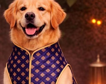 Dog Sherwani: Indian Wedding Outfit, Luxury Pet Clothing, Customise pet dress.