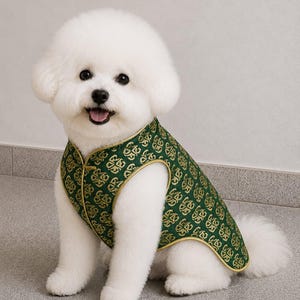 May include: A white Bichon Frise dog wearing a sleeveless vest made of dark green fabric with a repeating gold geometric pattern. The vest features a high collar, a front closure, and gold piping along the edges of the armholes and hemline.