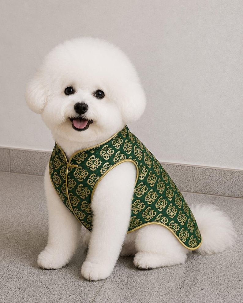 May include: A white Bichon Frise dog wearing a sleeveless vest made of dark green fabric with a repeating gold geometric pattern. The vest features a high collar, a front closure, and gold piping along the edges of the armholes and hemline.