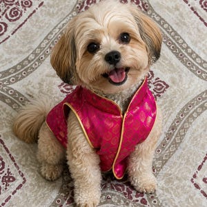 May include: A small, light-coloured dog with fluffy fur wearing a vibrant magenta vest. The vest features a repeating gold-toned pattern and is finished with a gold-coloured trim along the edges. The dog has dark eyes and a black nose.
