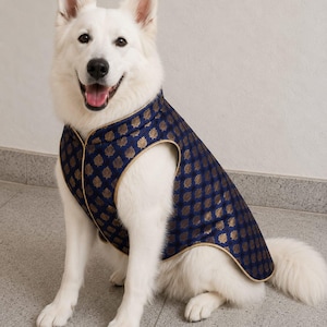 May include: A white dog wearing a sleeveless vest made of dark blue fabric with a repeating gold leaf pattern. The vest features a high collar and gold piping along the edges, covering the back and chest area of the dog while leaving the legs free.