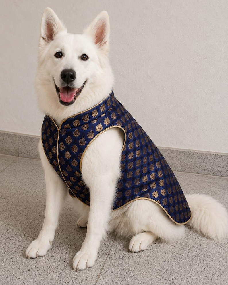 May include: A white dog wearing a sleeveless vest made of dark blue fabric with a repeating gold leaf pattern. The vest features a high collar and gold piping along the edges, covering the back and chest area of the dog while leaving the legs free.
