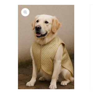 May include: A golden retriever dog wearing a sleeveless vest made of light gold fabric with a repeating small diamond pattern. The vest features a rounded neckline and gold trim along the edges, fitting snugly around the dog's torso.