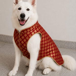 May include: A white dog wearing a sleeveless vest made of red fabric with a repeating gold floral pattern. The vest features a high collar and gold piping along the edges, covering the back and chest area of the animal while leaving the legs free.