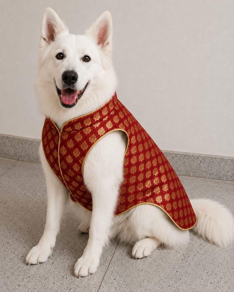 May include: A white dog wearing a sleeveless vest made of red fabric with a repeating gold floral pattern. The vest features a high collar and gold piping along the edges, covering the back and chest area of the animal while leaving the legs free.
