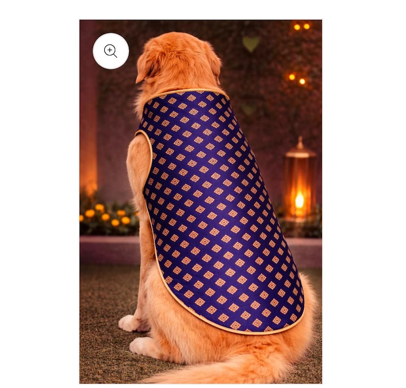 May include: A golden-coloured dog wearing a dark blue dog coat featuring a repeating pattern of small gold-coloured diamond shapes. The coat has a light tan trim along the edges and covers the back of the dog, which is facing away from the viewer.