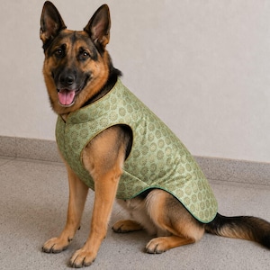May include: A German Shepherd dog wearing a light green sleeveless vest featuring a repeating dark green circular floral pattern. The vest has a high collar and is finished with a thin gold-toned trim along the edges of the neck and arm openings.