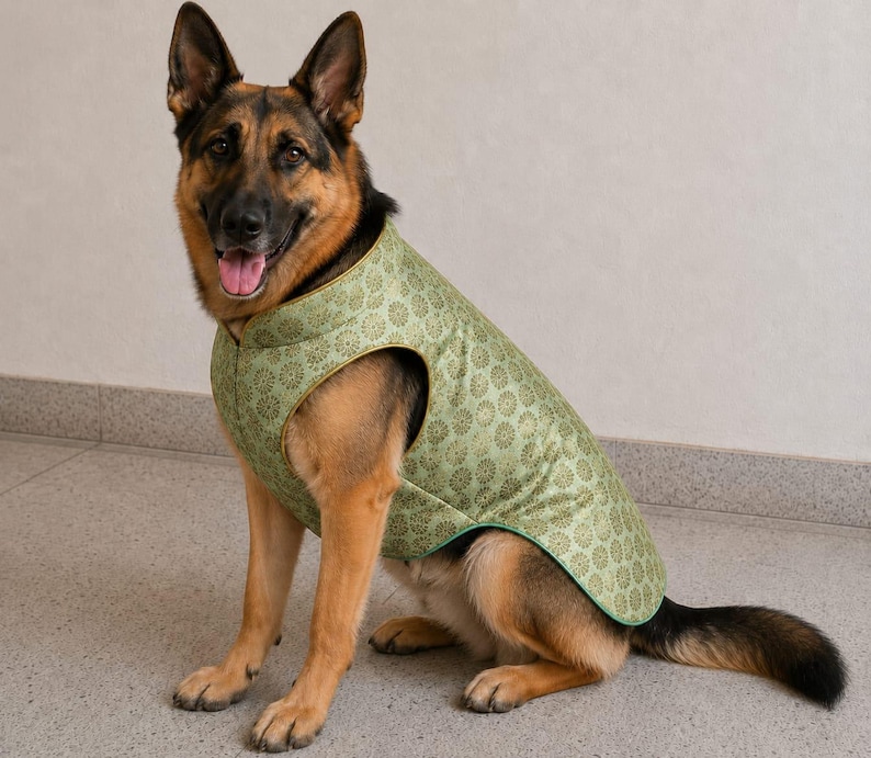 May include: A German Shepherd dog wearing a light green sleeveless vest featuring a repeating dark green circular floral pattern. The vest has a high collar and is finished with a thin gold-toned trim along the edges of the neck and arm openings.