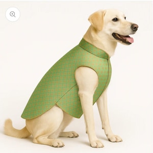 May include: A light green dog vest featuring a repeating geometric diamond pattern in a darker shade of green and gold. The sleeveless garment has a high collar and gold-toned piping along the edges, worn by a light-coloured Labrador Retriever.