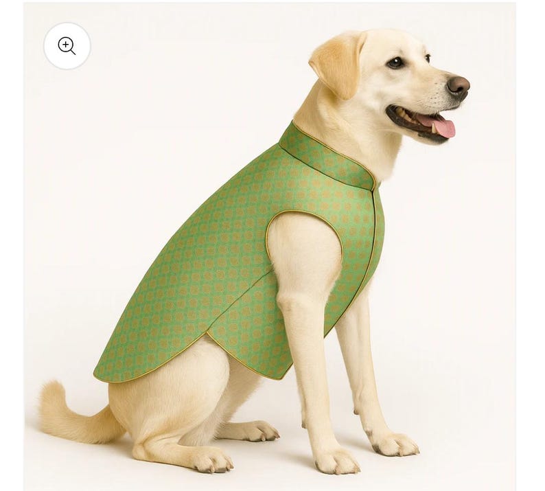 May include: A light green dog vest featuring a repeating geometric diamond pattern in a darker shade of green and gold. The sleeveless garment has a high collar and gold-toned piping along the edges, worn by a light-coloured Labrador Retriever.