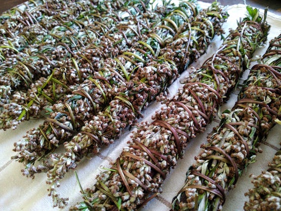 Smudge stick Mugwort (Black sage)