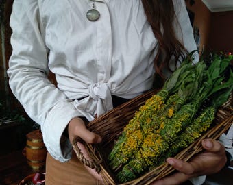 Può includere: Un cesto di vimini contiene diversi mazzi di erbe essiccate. I mazzi sono legati con spago e hanno foglie verdi e fiori gialli. Il cesto è tenuto da una persona che indossa una camicia bianca.