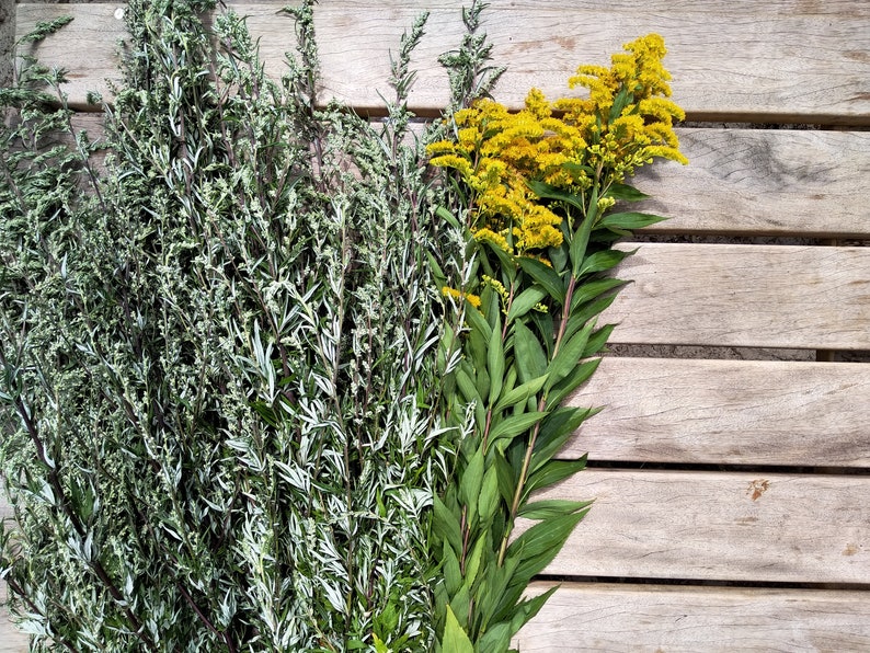 Pu&ograve; includere: Un mazzo di piante verdi a foglia con fiori gialli su una superficie di legno.