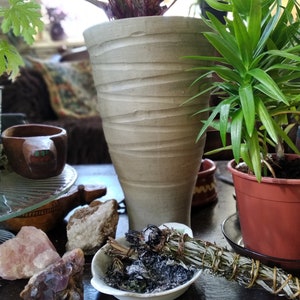 Pu&ograve; includere: Un vaso di ceramica bianca con superficie testurizzata contiene una pianta a foglie con foglie rosso scuro. Una pianta verde in un vaso marrone si trova accanto al vaso. Una ciotola bianca con un fascio di salvia fumante si trova su un tavolo di legno scuro.