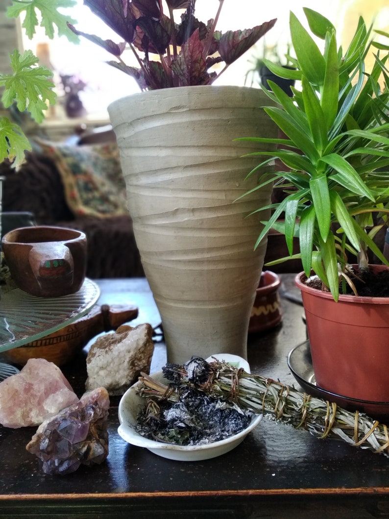 Pu&ograve; includere: Un vaso di ceramica bianca con superficie testurizzata contiene una pianta a foglie con foglie rosso scuro. Una pianta verde in un vaso marrone si trova accanto al vaso. Una ciotola bianca con un fascio di salvia fumante si trova su un tavolo di legno scuro.