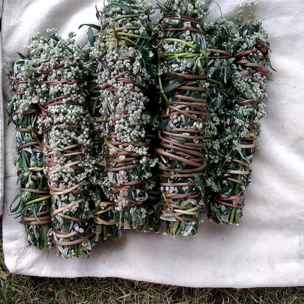 Smudge stick Bijvoet (Zwarte salie)