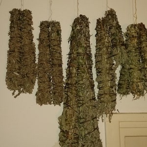 Pu&ograve; includere: Una collezione di sei mazzi di erbe secche appesi al soffitto. I mazzi sono legati con lo spago e sono fatti di varie erbe, tra cui salvia, lavanda e rosmarino.