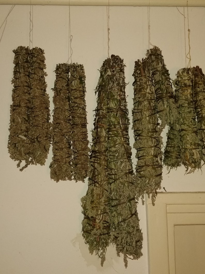 Pu&ograve; includere: Una collezione di sei mazzi di erbe secche appesi al soffitto. I mazzi sono legati con lo spago e sono fatti di varie erbe, tra cui salvia, lavanda e rosmarino.
