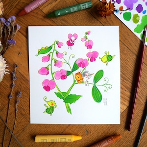 Acuarela original - Guisante de olor - &quot;No te creo&quot; en el lenguaje de las flores