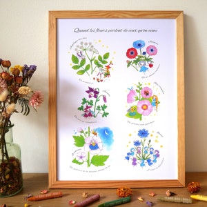 Póster botánico - Cuando las flores hablan de quienes amamos - Ilustraciones florales para decir "Te amo"
