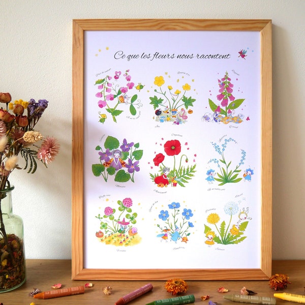 Botanical poster - What flowers tell us - Illustrations of meadow flowers and their symbolism in the language of flowers