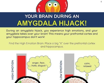 Your Brain and Body During An Amygdala Hijack