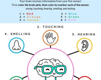 PreK/K: My 5 Senses