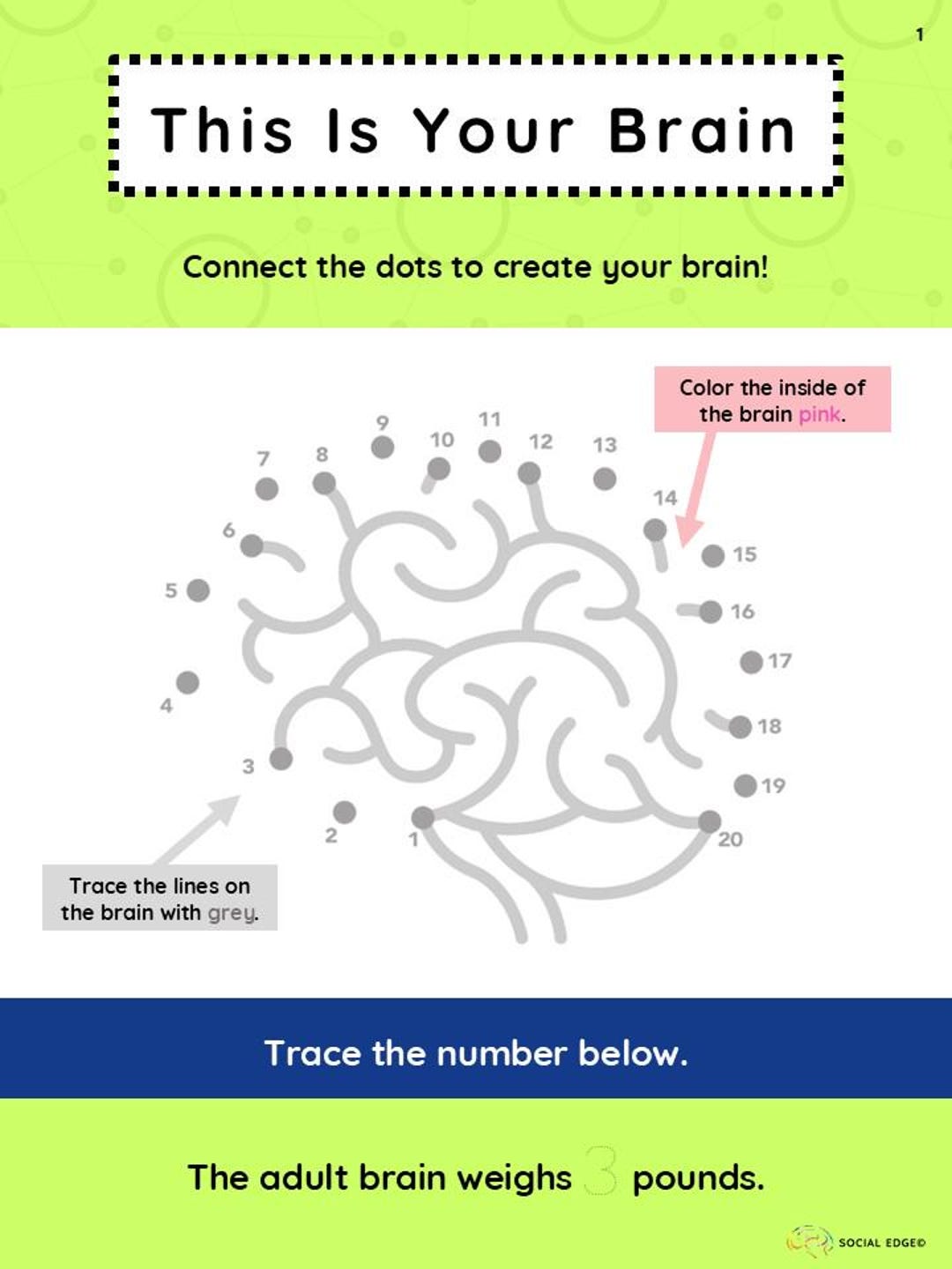 Prek/k: This is Your Brain, Connect the Dots & Fun Facts About the ...